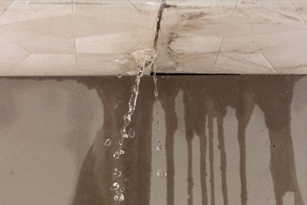 Professional Structural Drying technician working in New Bedford, MA